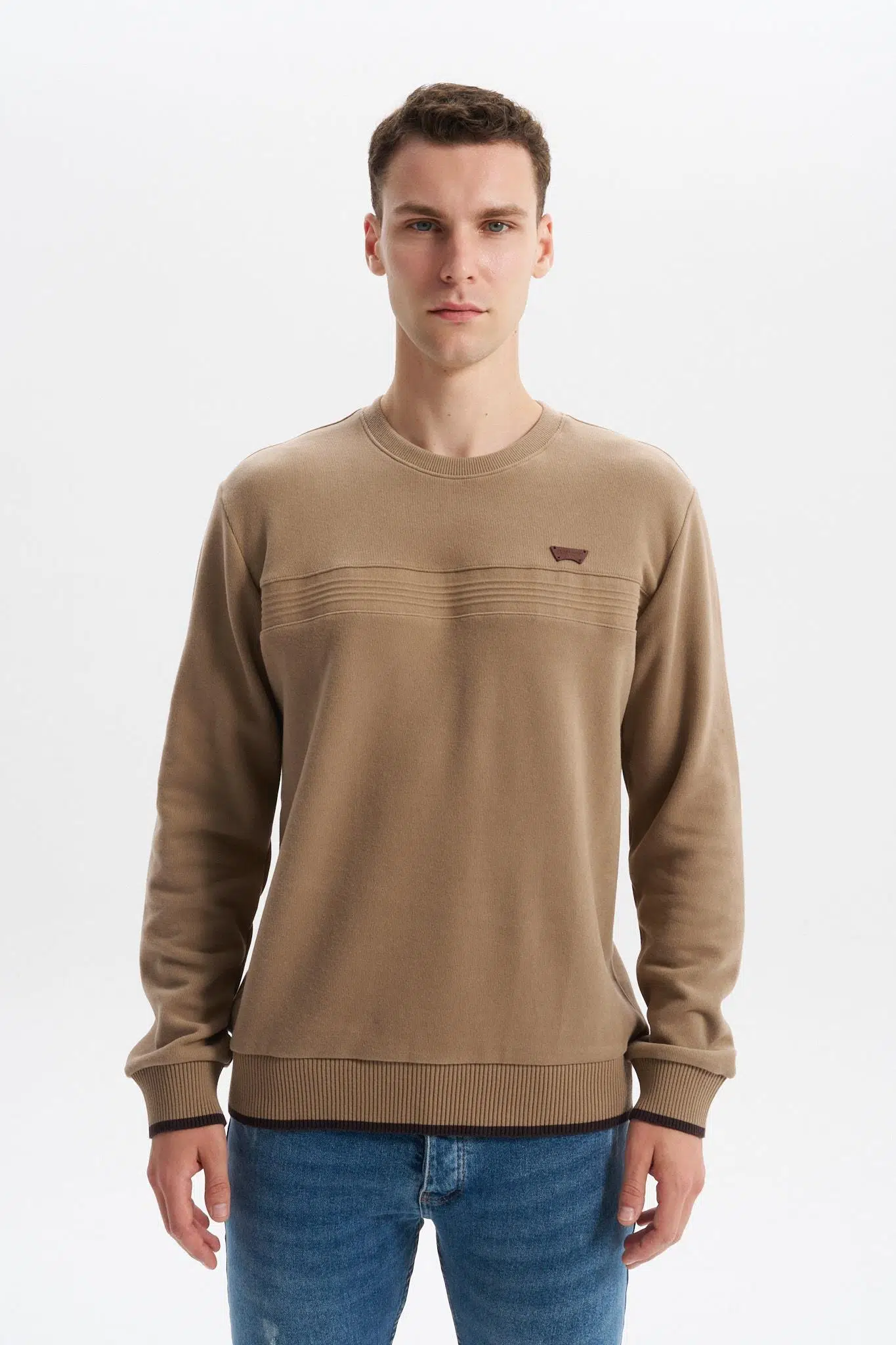 Ar-ma Erkek Bisiklet Yaka Sweatshirt Basic Baskisiz Cepsiz Regular Fit Karbon Firçali Selanik K30124697802 - Gri-Bej G8