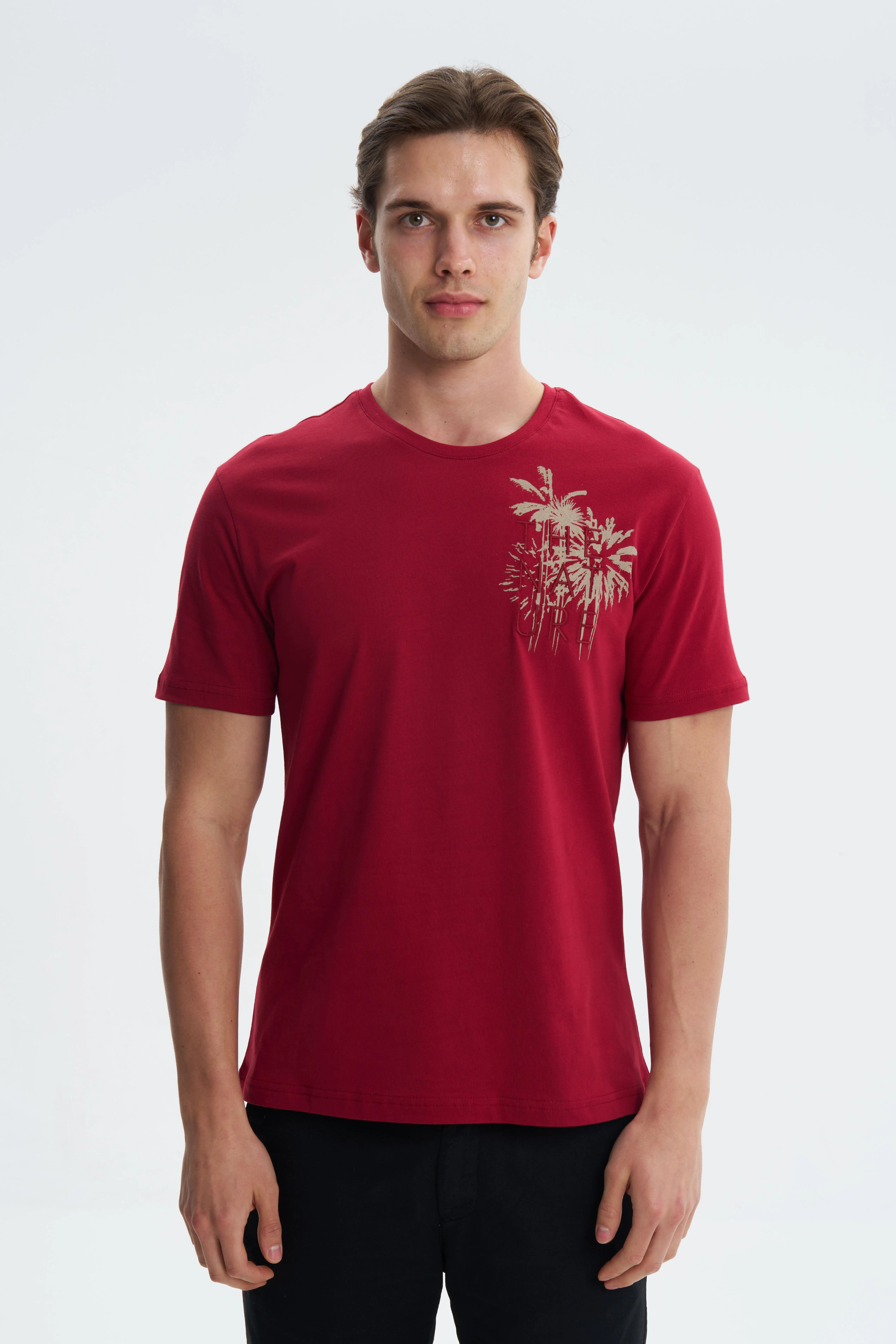 Ar-ma Erkek Bisiklet Yaka Tişört Resim Baskili Regular Fit Penye Süprem Y27344406801 - Bordo-B1