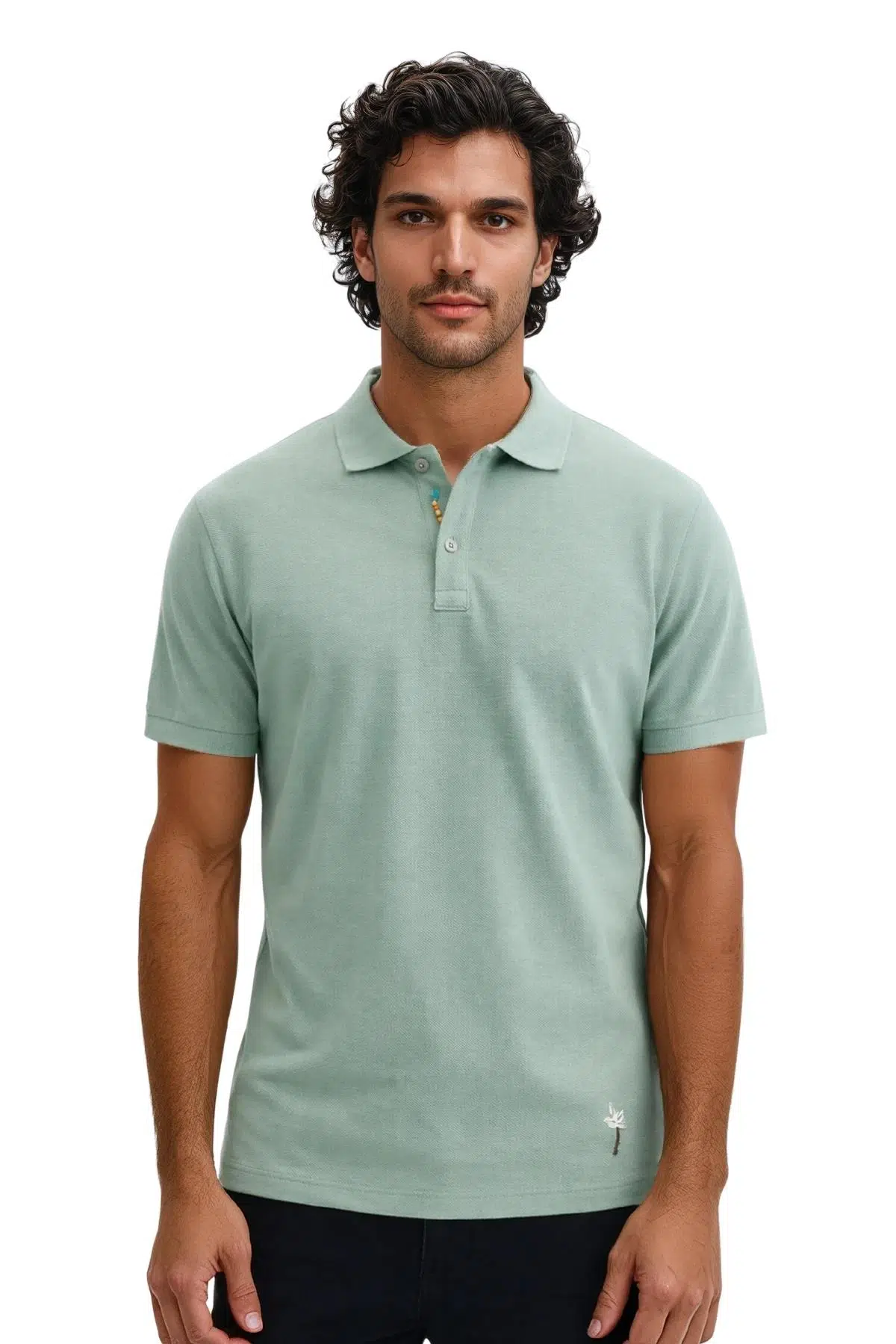 Ar-ma Erkek Polo Yaka Tişört Baskisiz Basic Örme Kumaş Regular Fit %100 Pamuk 30/1 Çift Toplama Penye Pike Y31374358202 - Yeşil-Y2
