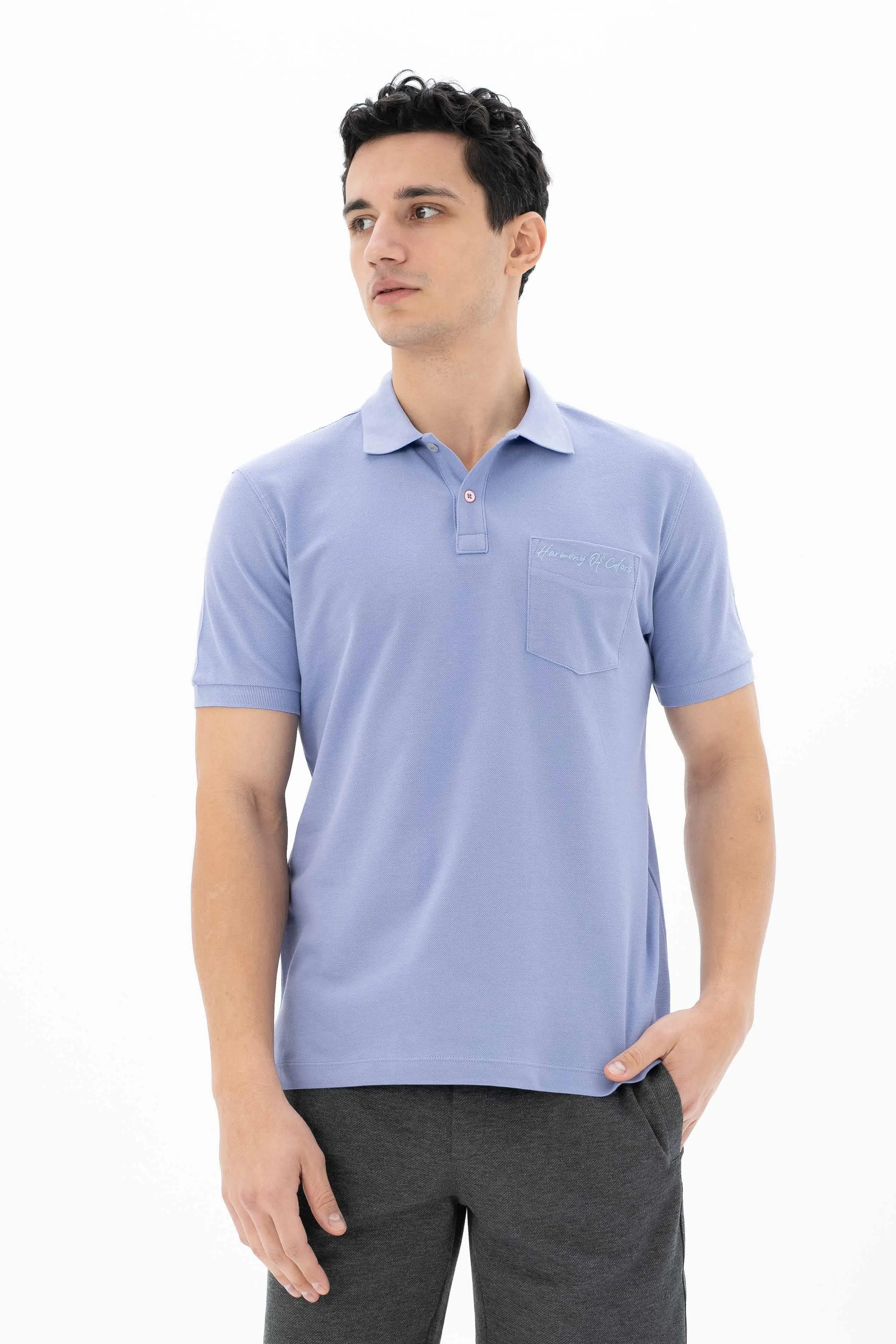Ar-ma Erkek Polo Yaka Tişört Baskisiz Basic Sol Göğüs Cepli Örme Kumaş Büyük Beden %100 Pamuk 30/1 Çift Toplama Penye Pike Y25374866601 - Mor-M1