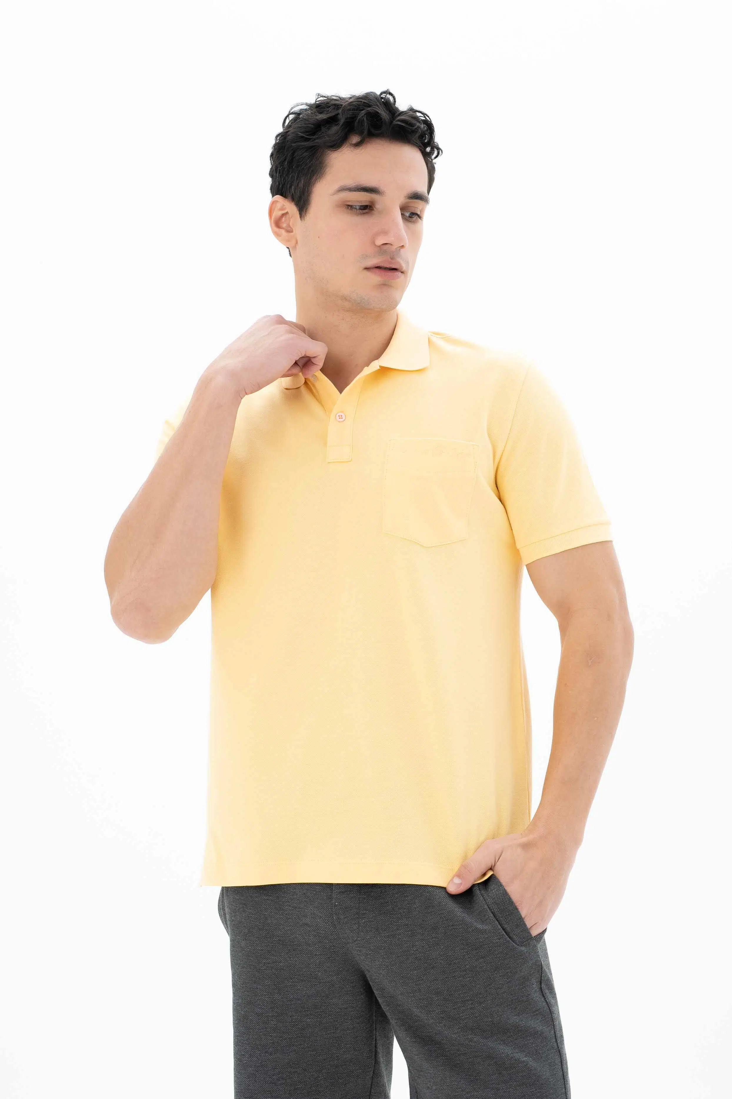 Ar-ma Erkek Polo Yaka Tişört Baskisiz Basic Sol Göğüs Cepli Örme Kumaş Büyük Beden %100 Pamuk 30/1 Çift Toplama Penye Pike Y25374866601 - Sarı-S1