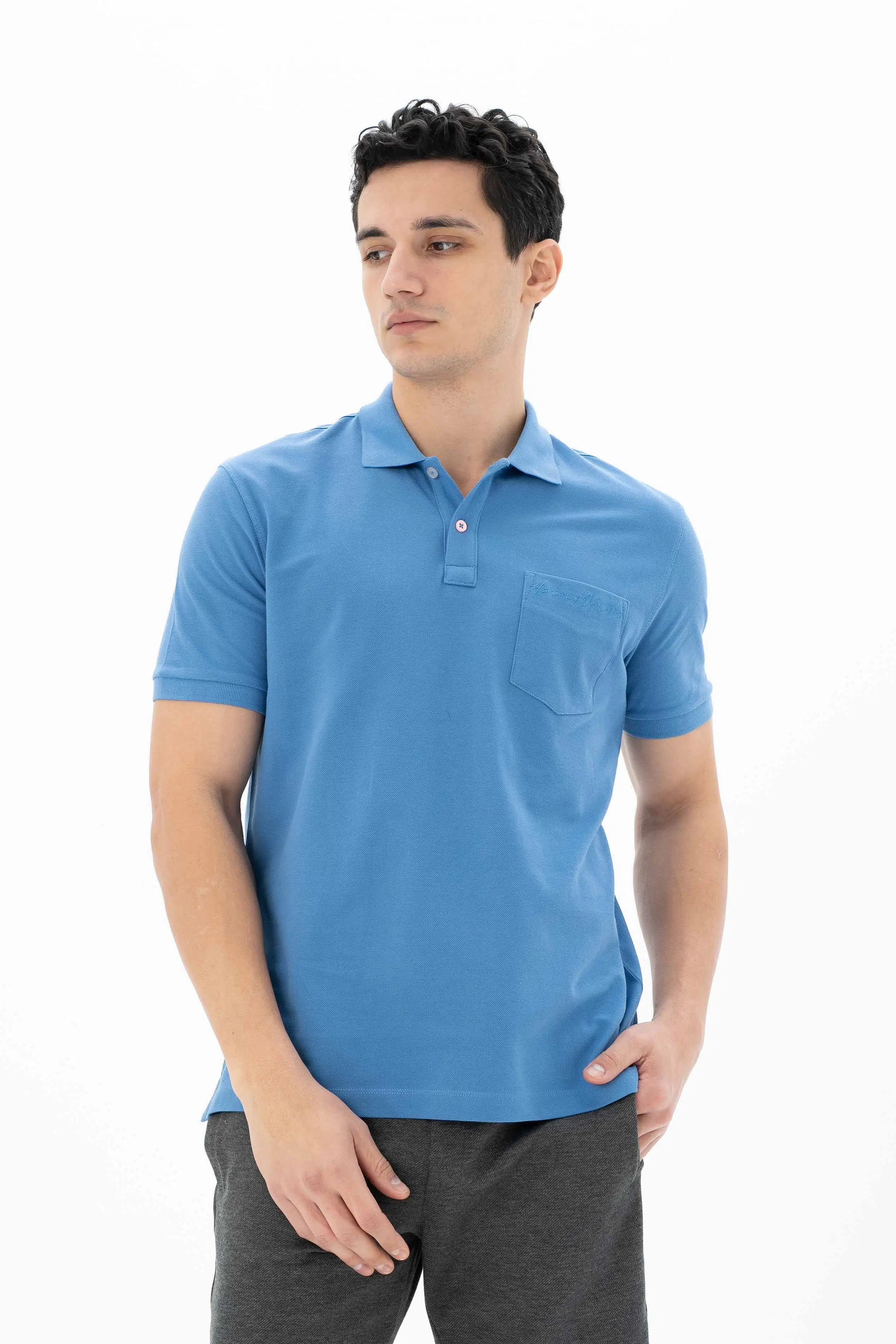 Ar-ma Erkek Polo Yaka Tişört Baskisiz Basic Sol Göğüs Cepli Örme Kumaş Büyük Beden %100 Pamuk 30/1 Çift Toplama Penye Pike Y25374866601 - Mavi-M2