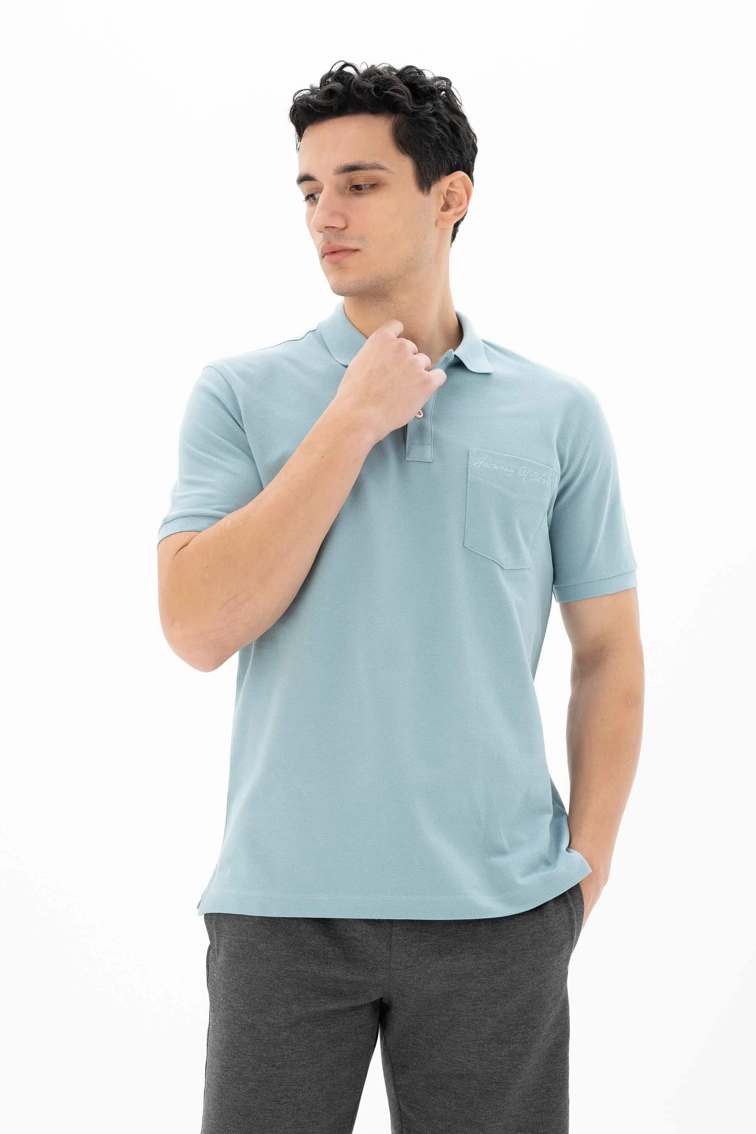 Ar-ma Erkek Polo Yaka Tişört Baskisiz Basic Sol Göğüs Cepli Örme Kumaş Büyük Beden %100 Pamuk 30/1 Çift Toplama Penye Pike Y25374866601 - Mavi-M24