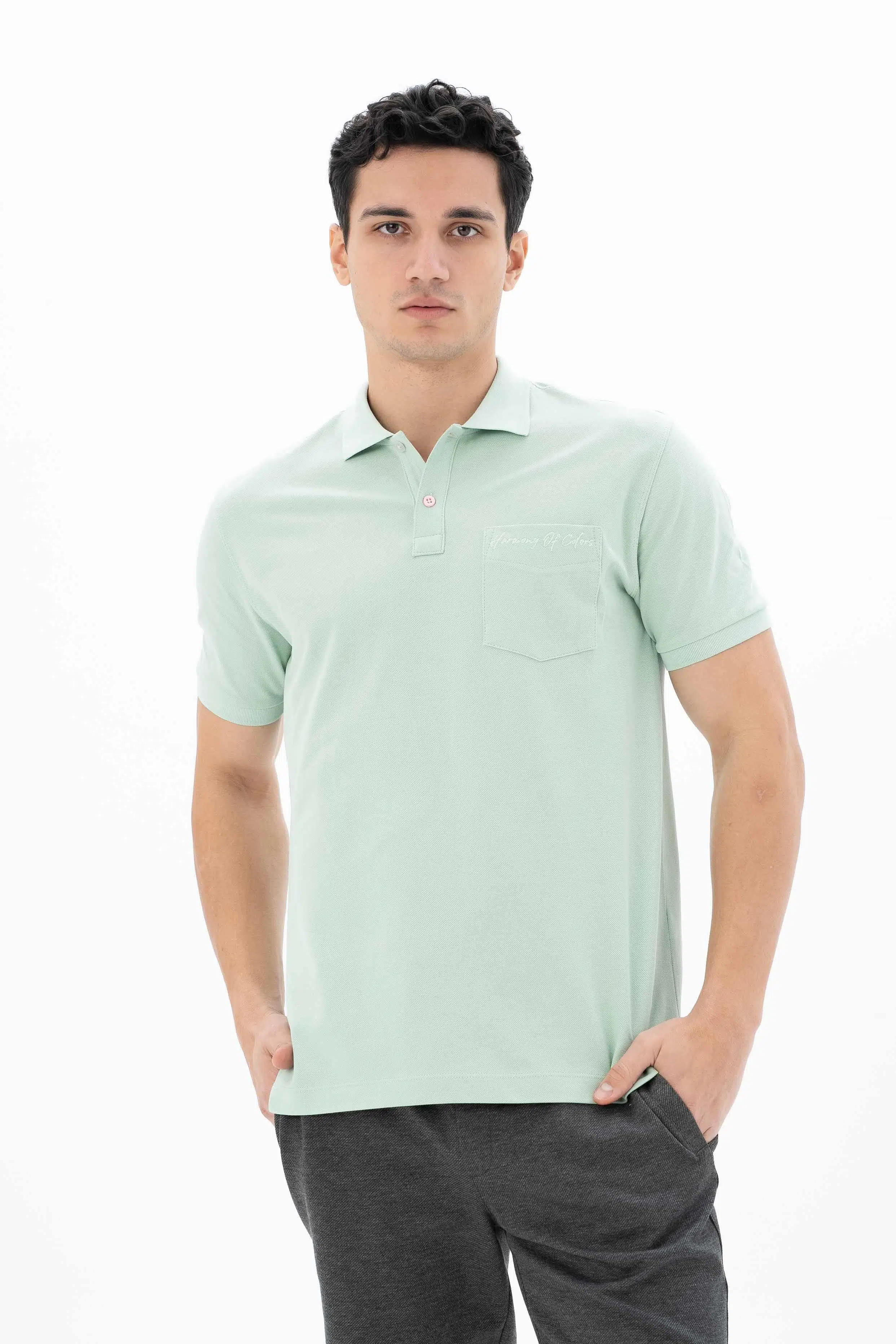 Ar-ma Erkek Polo Yaka Tişört Baskisiz Basic Sol Göğüs Cepli Örme Kumaş Büyük Beden %100 Pamuk 30/1 Çift Toplama Penye Pike Y25374866601 - Yeşil-Y2