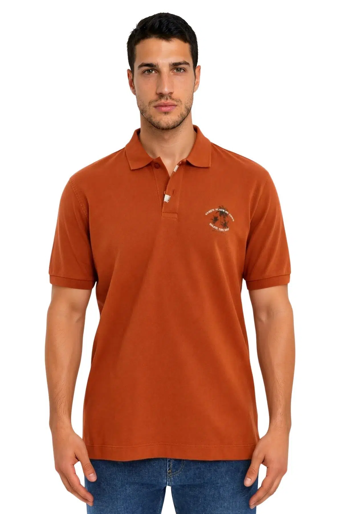 Ar-ma Erkek Polo Yaka Tişört Resim Baskili Regular Fit Çift Toplama Penye Pike Y31374358402 - Pembe-P4